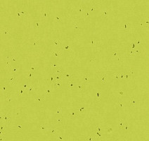 Линолеум Forbo Sphera Energetic 50214 lime фото 1 | FLOORDEALER